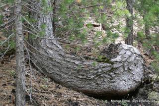 rrente Quarantore-05-08-2015 17-29-41